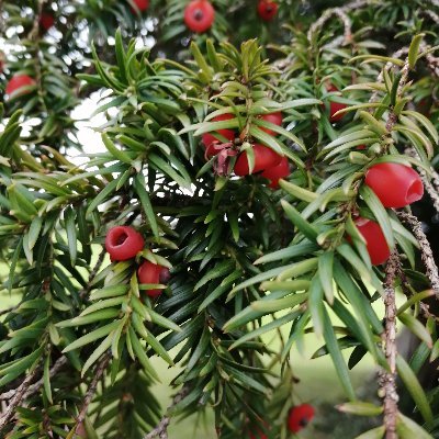 Profile Picture of Ted Lowe (@Tedlowe84765190) on Twitter