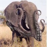 Profile Picture of bryan_rhoads (@bryan_rhoads) on Instagram