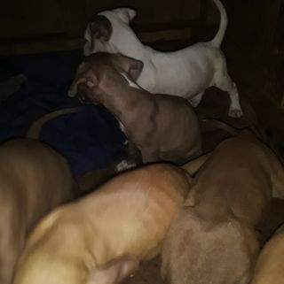 Profile Picture of Lesley Joseph (@lesley.joseph.501) on Facebook