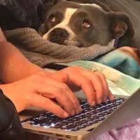 Gillian Ryan - Quora Profile Picture of Gillian Ryan (@gillian-ryan-3) on Quora