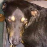 Profile Picture of Scott Mancuso (@scott.mancuso.14) on Instagram