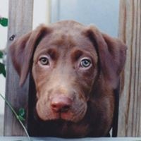 Profile Picture of Cyndi Roberts (@cyndi-roberts-9) on Quora