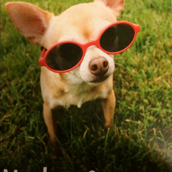 Stephanie Danese - Poshmark Profile Picture of Stephanie Danese (@sdanese1981) on Poshmark