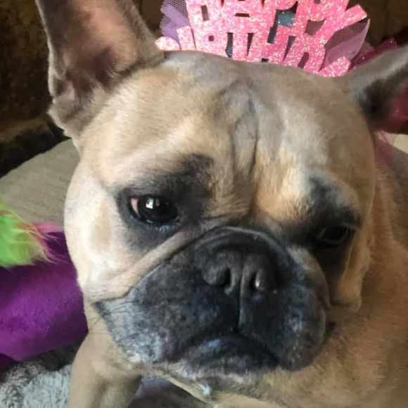 Gina Scheumann - Poshmark Profile Picture of Gina Scheumann (@ginascheumann) on Poshmark