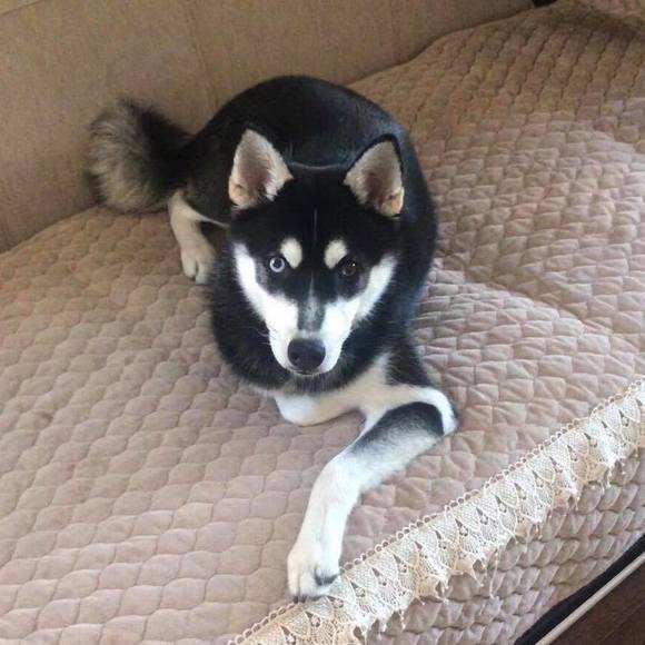 Profile Picture of Min Yang (@emily79799) on Poshmark