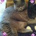 Profile Picture of Pamela Horrocks (@pamela.horrocks.35) on Facebook