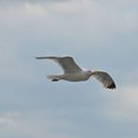 Profile Picture of Stefan Karlsson (@stefan-karlsson-14) on Quora