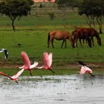 Profile Picture of Jhonatan Singer (@Jhonatan-Singer) on Facebook