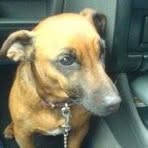 Profile Picture of Scully Stanley (@scully.stanley) on Facebook