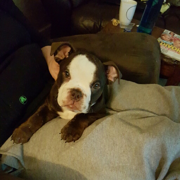 Profile Picture of Mark Mcclanahan (@markyofficer) on Poshmark