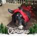 Profile Picture of Cindy Mounsey (@cindy.mounsey.9) on Facebook