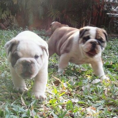 Profile Picture of Juaner Galeano (@juaner81) on Twitter