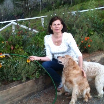 Profile Picture of Elena Peters (@epeterssol) on Twitter