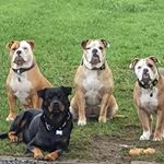 Profile Picture of Kenneth Graakjær Mikkelsen (@graakjaermikkelsen) on Instagram