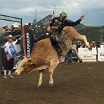 Profile Picture of edwin tobar (@edwintobar77) on Instagram