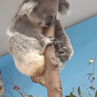 Albert Nolan - Facebook Profile Picture of Albert Nolan (@albert.nolan.7) on Facebook