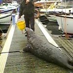 Profile Picture of Peter Keenan (@peter.keenan.733) on Instagram