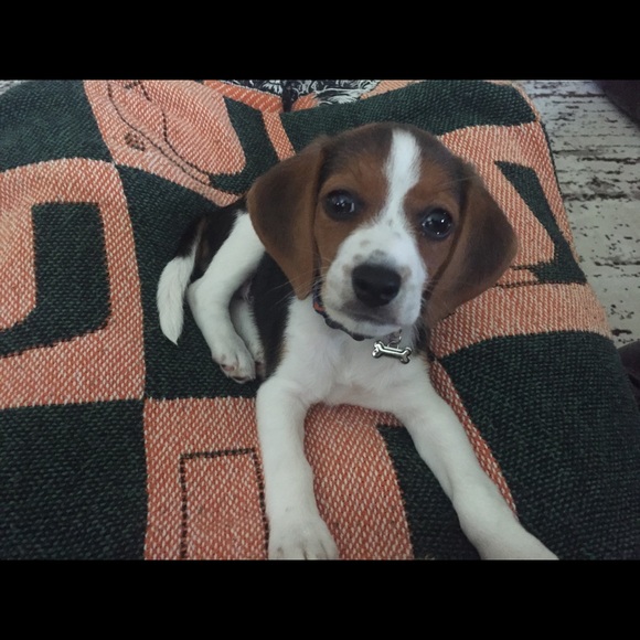 Profile Picture of Nathaniel Flinchbaugh (@nflinchbaugh) on Poshmark