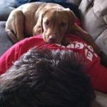 Profile Picture of Alex Nunnari (@nunnari_alex) on Instagram