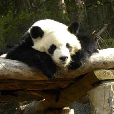 Ada Camacho - Twitter Profile Picture of Ada Camacho (@adacamacho) on Twitter