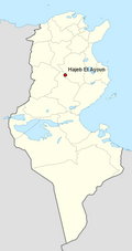 Profile Picture of Hajeb El Ayounon Wikipedia