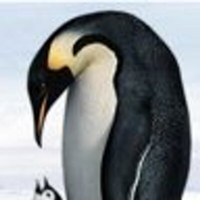 Profile Picture of Seanwhitney (@seanwhitney) on Twitter