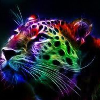 Profile Picture of Kelsey Allen (@KelseyShaeAllen) on Twitter