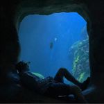 Profile Picture of Brandon Shields (@mini_screeb) on Instagram