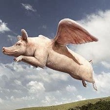 Profile Picture of Robert "Brian" Shuman (@RobertBrianShu1) on Twitter