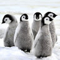 Profile Picture of Alex Wegrzyn (@alex-wegrzyn) on Quora