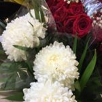 Profile Picture of jennahamlin_ (@jennahamlin_) on Instagram