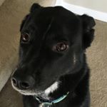 Profile Picture of John Schenk (@john_enzo_sch) on Instagram
