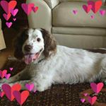 Profile Picture of Heather Moxham (@heathermoxham) on Instagram
