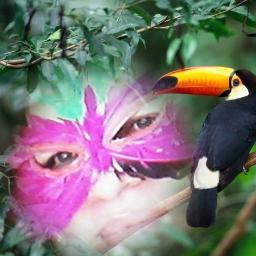 Profile Picture of Azalea Flores (@AzhaleaFlores) on Twitter