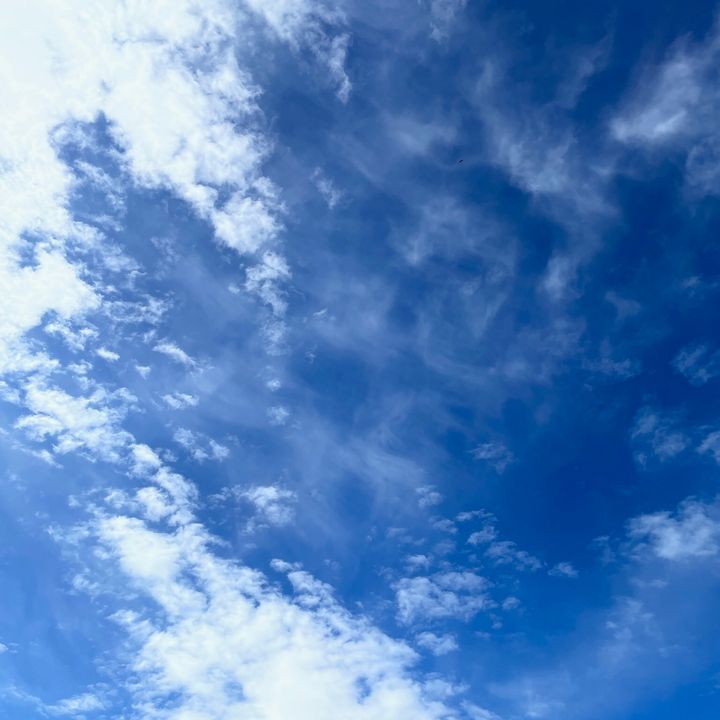 Profile Picture of pamela_ruan (@pamela_ruan) on Tiktok