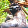 Profile Picture of jamesleasman (@jamesleasman) on Tiktok