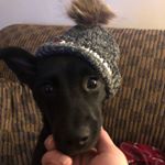 Profile Picture of Ally Quinn Mahoney (@allyquinnmahoney) on Instagram