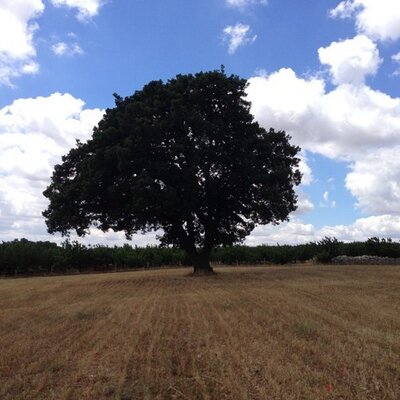 Profile Picture of Anne-Marie Tinta (@@AnneLunes) on Twitter