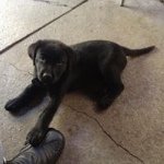 Profile Picture of Matthew Plunkett (@matt.plunkett) on Instagram