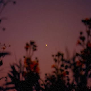 Profile Picture of Zonia Hauschildt (@heldtwilliam) on Instagram