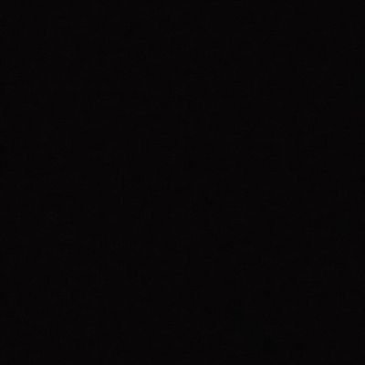 Profile Picture of Brandon Paradis (@BrandonLTP) on Twitter