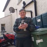 Profile Picture of Jeremiah O'Sullivan (@jeremiahosullivan) on Instagram