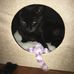 Profile Picture of Michael Choquette (@michael.choquette.750) on Facebook