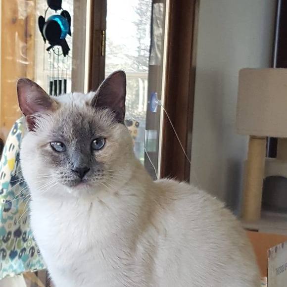 Sue Stradtmann - Poshmark Profile Picture of Sue Stradtmann (@lunapetunia18) on Poshmark