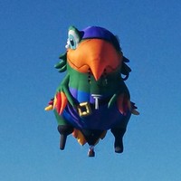 Mark Hooley - Quora Profile Picture of Mark Hooley (@mark-hooley-3) on Quora