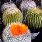 Profile Picture of Lisa Clemens (@Lisa-Clemens) on Facebook