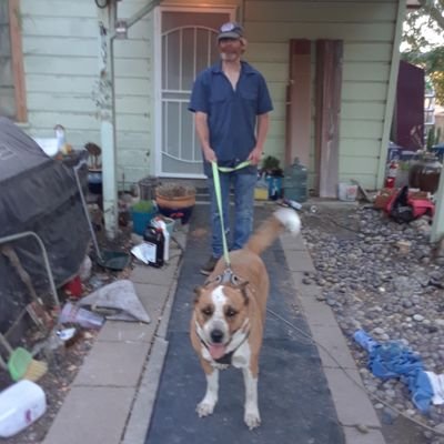 Profile Picture of Steve Bulmer (@SteveBulmer4) on Twitter