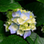 Profile Picture of Robin Barnes (@2boysin2003) on Flickr