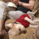 Profile Picture of Deborah Crain (@deborah.crain.1694) on Instagram