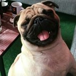 Profile Picture of 🔰Peter🔰 (@no.one.cares.2) on Instagram